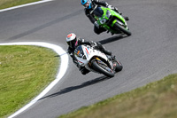 Lower Group White Bikes